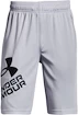 Pantaloncini da bambino Under Armour  Prototype 2.0 Logo Shorts gray M