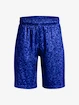 Pantaloncini da bambino Under Armour  Renegade 3.0 PRTD Shorts-BLU