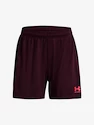 Pantaloncini da donna Under Armour  W's Ch. Knit Short-MRN