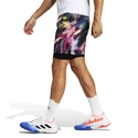 Pantaloncini da uomo adidas  Melbourne Ergo Tennis Graphic Shorts Multicolor/Black