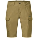 Pantaloncini da uomo Bergans  Utne Olive Green