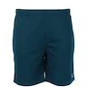 Pantaloncini da uomo FZ Forza  Landos M Shorts Poseidon