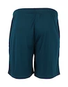 Pantaloncini da uomo FZ Forza  Landos M Shorts Poseidon