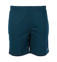 Pantaloncini da uomo FZ Forza  Landos M Shorts Poseidon