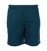 Pantaloncini da uomo FZ Forza  Landos M Shorts Poseidon L