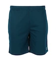 Pantaloncini da uomo FZ Forza  Landos M Shorts Poseidon L