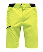 Pantaloncini da uomo Haglöfs  L.I.M Fuse Green