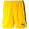 Pantaloncini da uomo Puma  Pitch