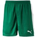 Pantaloncini da uomo Puma  Pitch