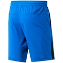 Pantaloncini da uomo Reebok  Wor Woven Short blue