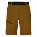 Pantaloncini da uomo Salewa  Puez 3 DST M Shorts Golden Brown L