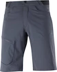 Pantaloncini da uomo Salomon  Wayfarer Shorts Ebony 48