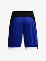 Pantaloncini da uomo Under Armour  BASELINE 10'' SHORT-BLU