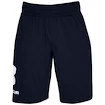 Pantaloncini da uomo Under Armour  COTTON BIG LOGO SHORTS blue