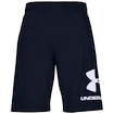 Pantaloncini da uomo Under Armour  COTTON BIG LOGO SHORTS blue