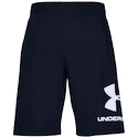 Pantaloncini da uomo Under Armour  COTTON BIG LOGO SHORTS blue