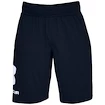 Pantaloncini da uomo Under Armour  COTTON BIG LOGO SHORTS blue S