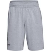 Pantaloncini da uomo Under Armour  COTTON BIG LOGO SHORTS gray