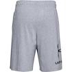 Pantaloncini da uomo Under Armour  COTTON BIG LOGO SHORTS gray