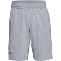 Pantaloncini da uomo Under Armour  COTTON BIG LOGO SHORTS gray