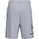 Pantaloncini da uomo Under Armour  COTTON BIG LOGO SHORTS gray