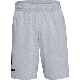 Pantaloncini da uomo Under Armour COTTON BIG LOGO SHORTS gray