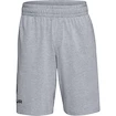 Pantaloncini da uomo Under Armour  COTTON BIG LOGO SHORTS gray XXL