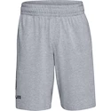 Pantaloncini da uomo Under Armour  COTTON BIG LOGO SHORTS gray XXL