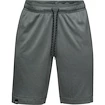 Pantaloncini da uomo Under Armour  Lighter Longer Short S