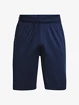 Pantaloncini da uomo Under Armour  Raid 2.0 Shorts-NVY