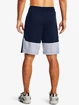 Pantaloncini da uomo Under Armour  Raid 2.0 Shorts-NVY