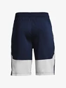 Pantaloncini da uomo Under Armour  Raid 2.0 Shorts-NVY