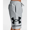 Pantaloncini da uomo Under Armour  Rival FLC Big Logo Shorts gray