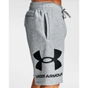 Pantaloncini da uomo Under Armour  Rival FLC Big Logo Shorts gray