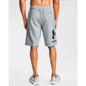 Pantaloncini da uomo Under Armour  Rival FLC Big Logo Shorts gray