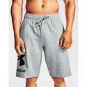 Pantaloncini da uomo Under Armour  Rival FLC Big Logo Shorts gray