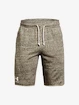 Pantaloncini da uomo Under Armour  RIVAL TERRY SHORT-BRN