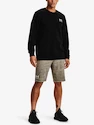 Pantaloncini da uomo Under Armour  RIVAL TERRY SHORT-BRN