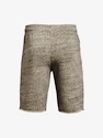 Pantaloncini da uomo Under Armour  RIVAL TERRY SHORT-BRN