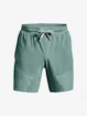 Pantaloncini da uomo Under Armour  Storm Armourprint Woven Storm Shorts-GRN