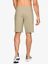 Pantaloncini da uomo Under Armour  Storm Fish Hunter Storm Short-BRN