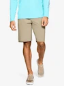 Pantaloncini da uomo Under Armour  Storm Fish Hunter Storm Short-BRN