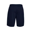 Pantaloncini da uomo Under Armour  Tech Mesh Shorts blue