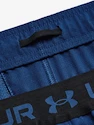 Pantaloncini da uomo Under Armour  Vanish Woven 6in Shorts-BLU