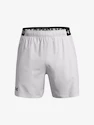 Pantaloncini da uomo Under Armour  Vanish Woven 6in Shorts-GRY