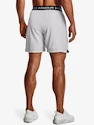 Pantaloncini da uomo Under Armour  Vanish Woven 6in Shorts-GRY