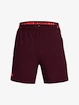 Pantaloncini da uomo Under Armour  Vanish Woven 6in Shorts-MRN