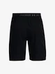 Pantaloncini da uomo Under Armour  Vanish Woven 8in Shorts-BLK