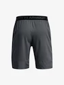 Pantaloncini da uomo Under Armour  Vanish Woven 8in Shorts-GRY