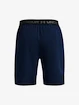 Pantaloncini da uomo Under Armour  Vanish Woven 8in Shorts-NVY